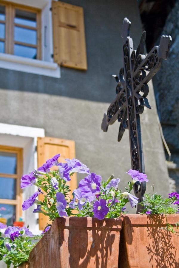 Au Cheval Blanc - Appartements Et Chambres D'Hotes Albertville Esterno foto