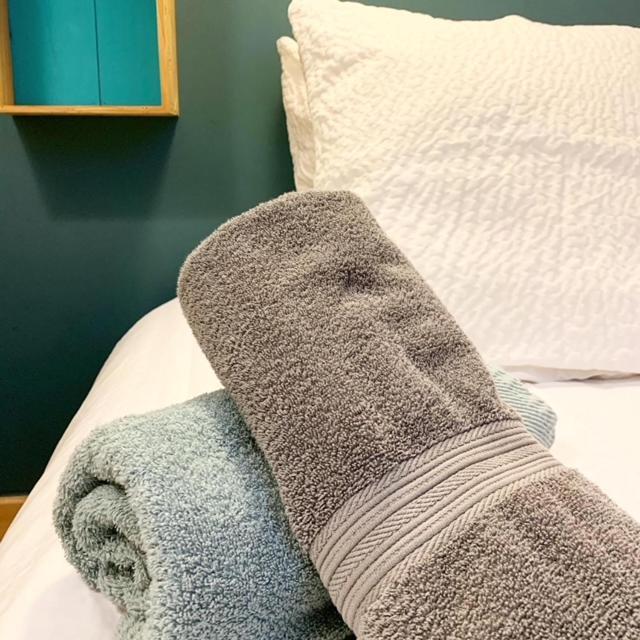 Au Cheval Blanc - Appartements Et Chambres D'Hotes Albertville Esterno foto