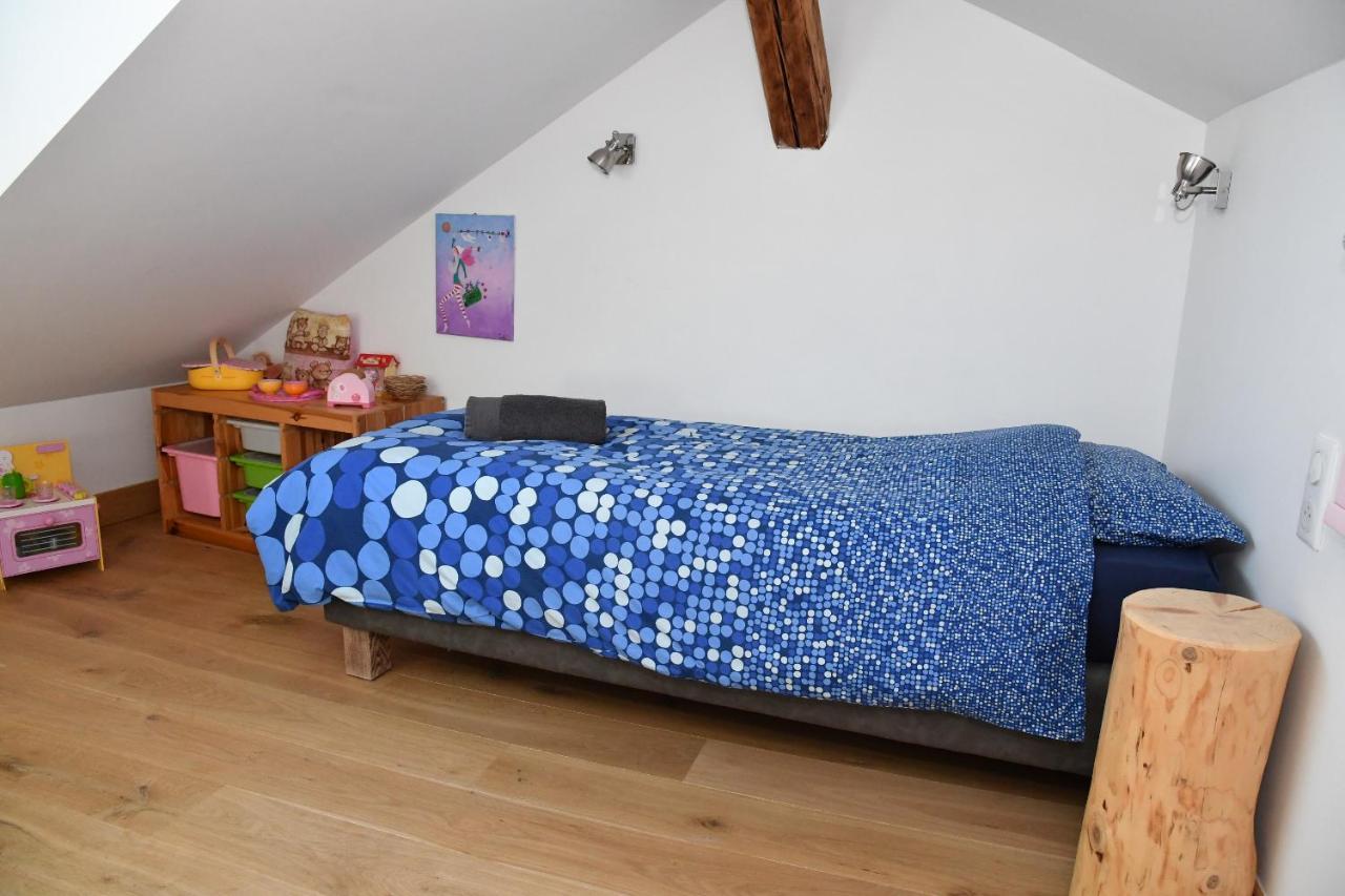 Au Cheval Blanc - Appartements Et Chambres D'Hotes Albertville Esterno foto